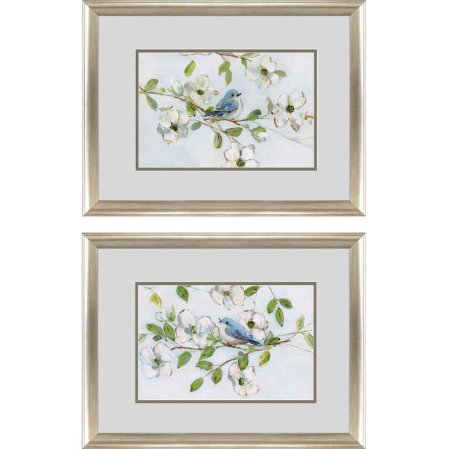 Paragon Blue Bird Morning S/2 Blue 21 X 27 X 1 Wall Art