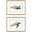 Paragon Hawaiian Turtle S/2 Brown 21 X 27 X 1 Wall Art