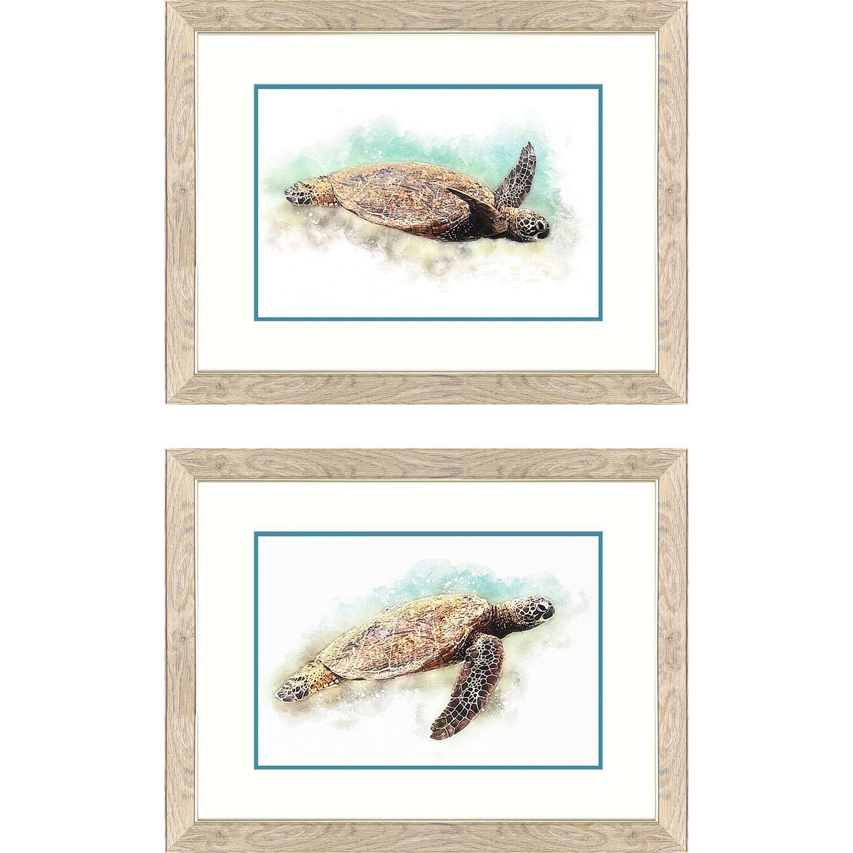Paragon Hawaiian Turtle S/2 Brown 21 X 27 X 1 Wall Art