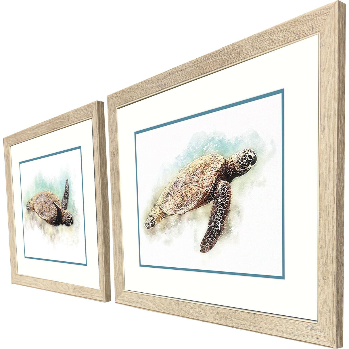 Paragon Hawaiian Turtle S/2 Brown 21 X 27 X 1 Wall Art