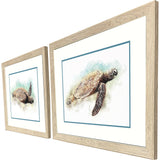 Paragon Hawaiian Turtle S/2 Brown 21 X 27 X 1 Wall Art