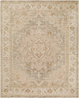 Surya Oklahoma OKH-2303 2' x 3' Handmade Rug