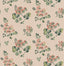 G P & J Baker FOREST FLOWER PLASTER Wallpaper