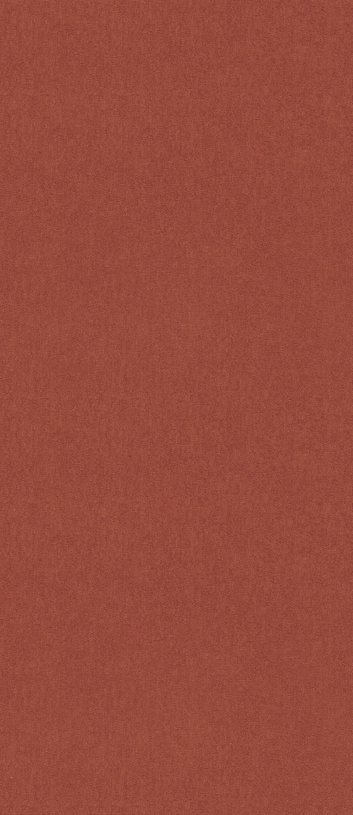 G P & J Baker CUBBY SPICE Wallpaper