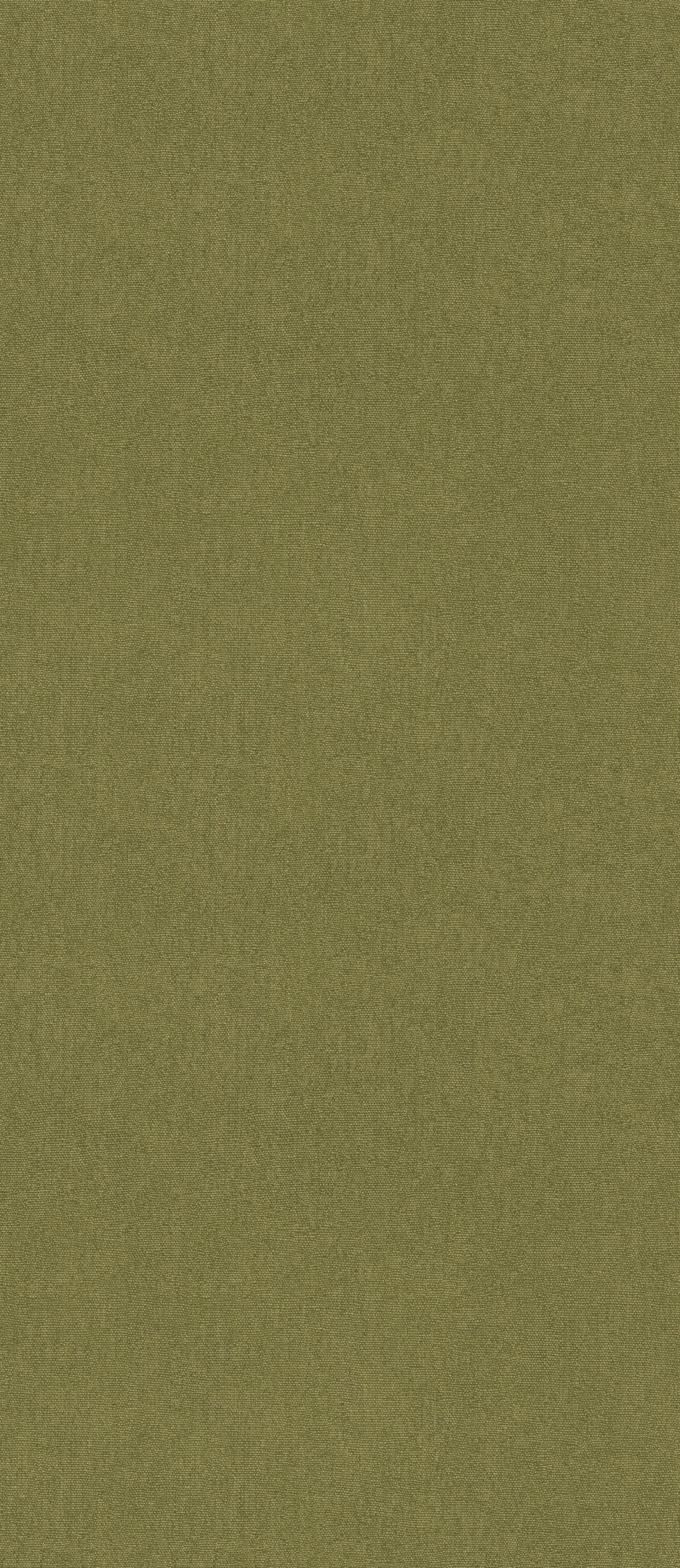 G P & J Baker CUBBY OLIVE Wallpaper