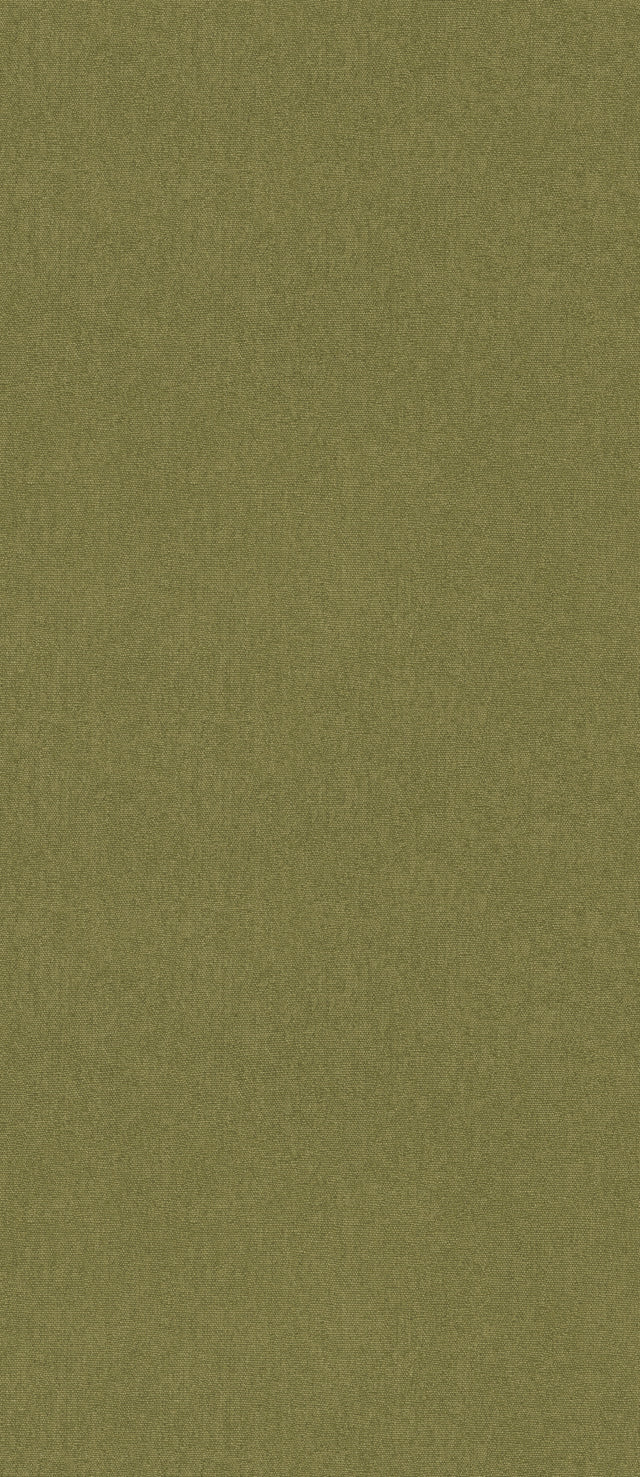 G P & J Baker CUBBY OLIVE Wallpaper