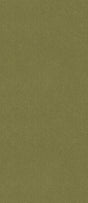 G P & J Baker CUBBY OLIVE Wallpaper