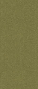 G P & J Baker CUBBY OLIVE Wallpaper