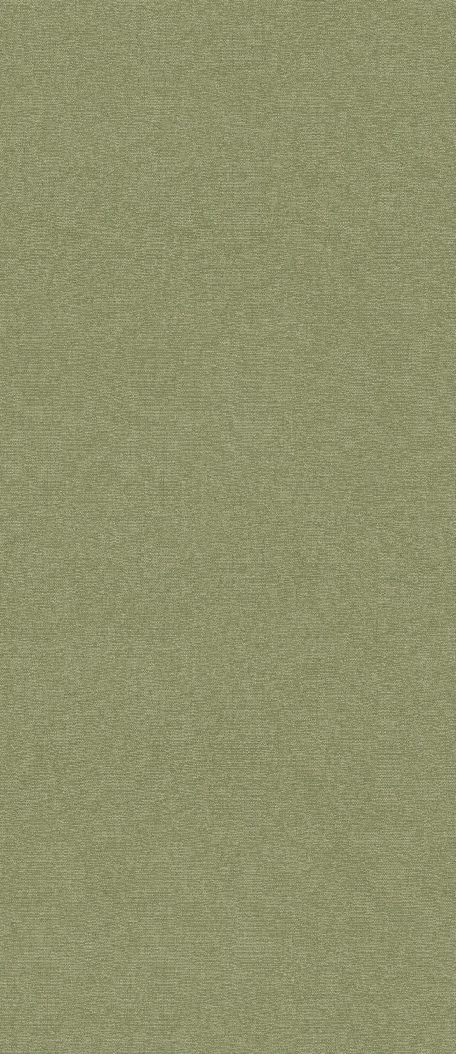 G P & J Baker CUBBY GRASS Wallpaper