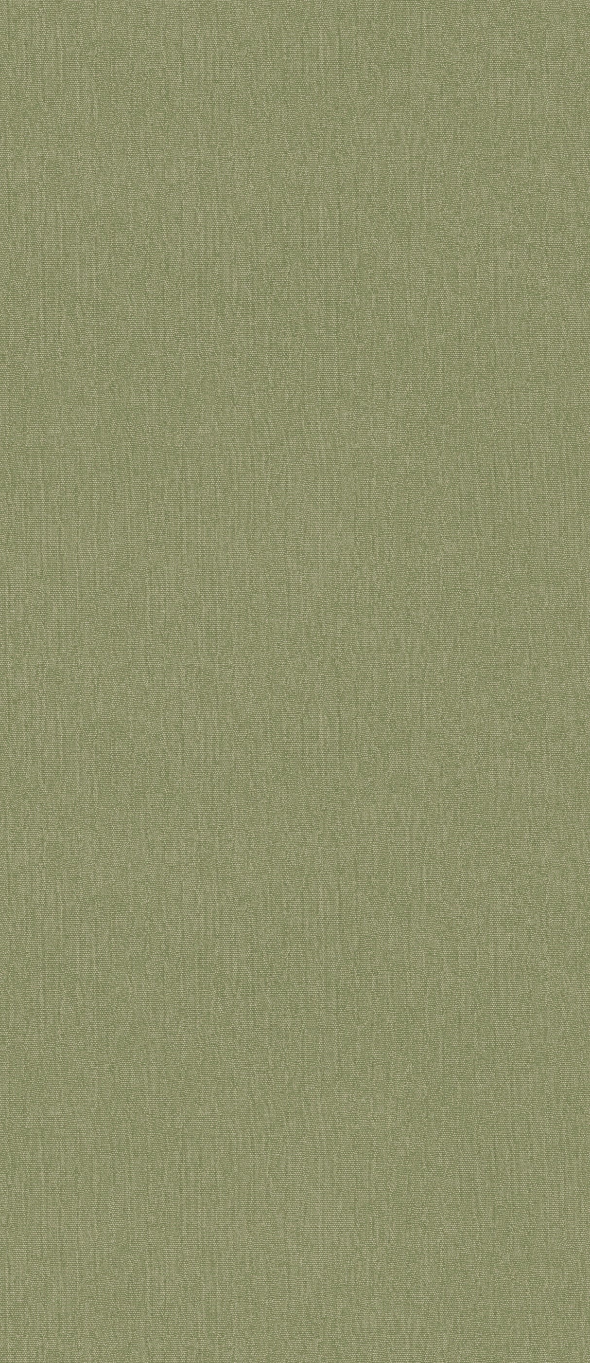G P & J Baker CUBBY GRASS Wallpaper