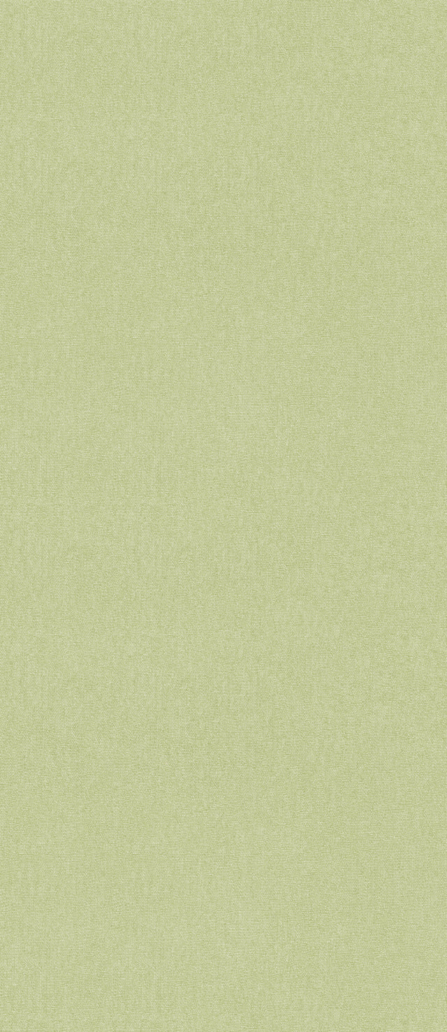 G P & J Baker CUBBY CARDAMON Wallpaper