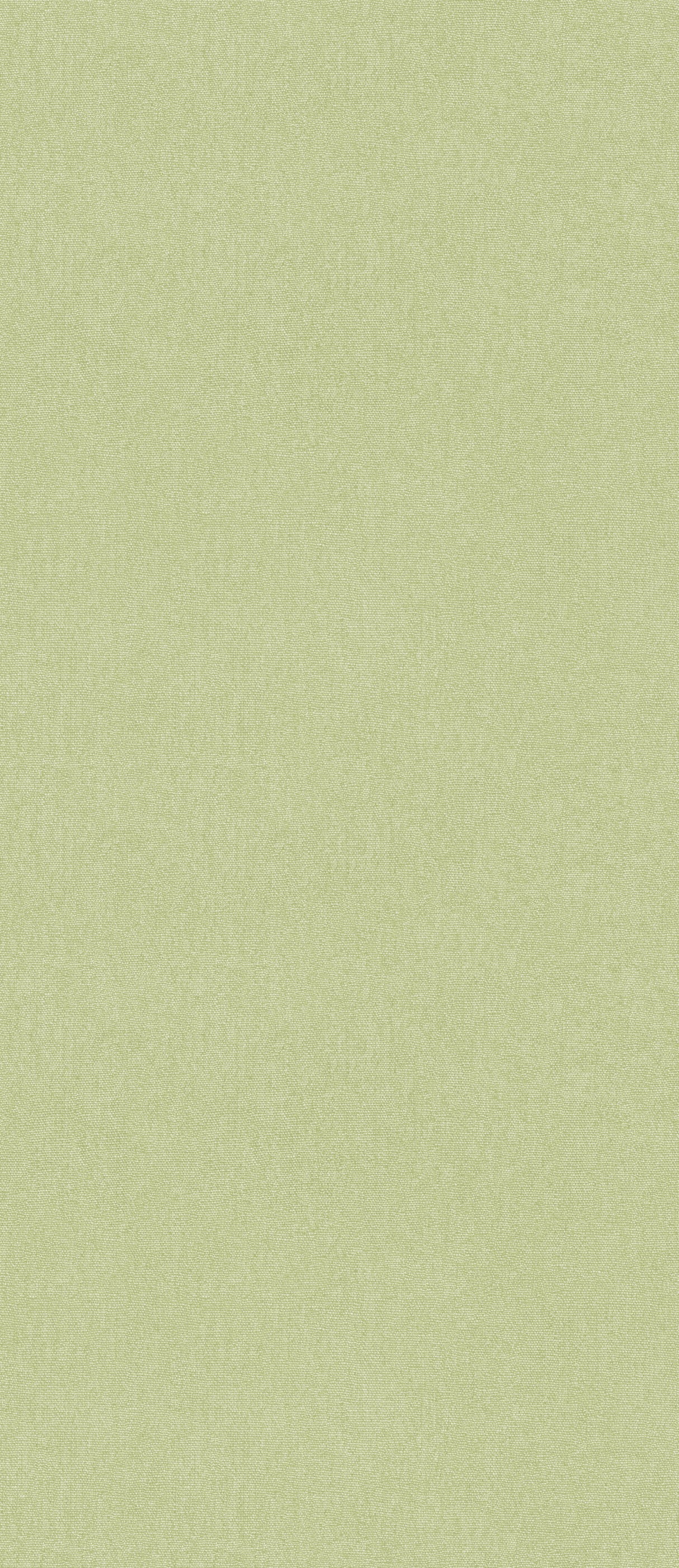 G P & J Baker CUBBY CARDAMON Wallpaper