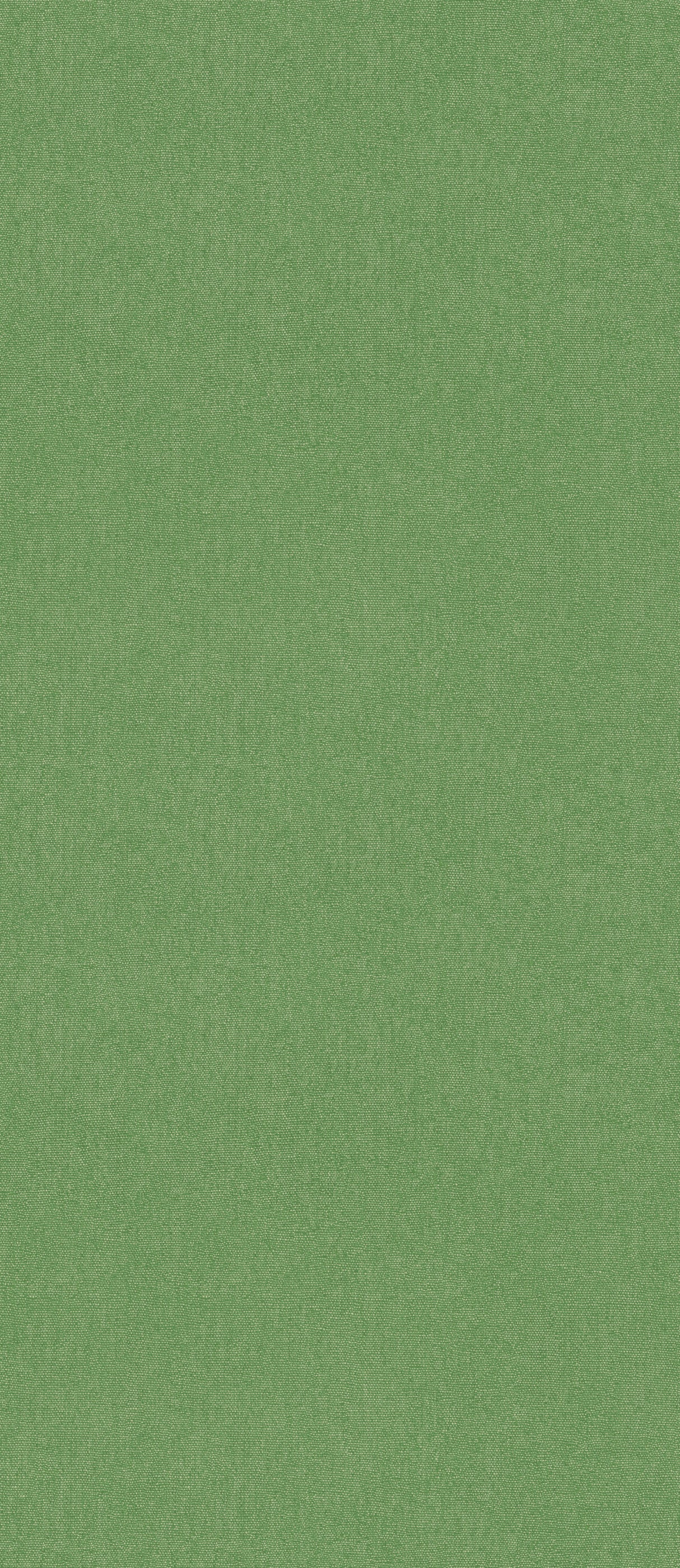 G P & J Baker CUBBY SPRING GREEN Wallpaper