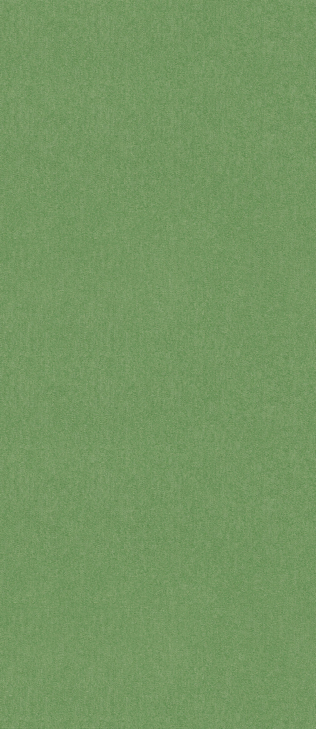G P & J Baker CUBBY SPRING GREEN Wallpaper