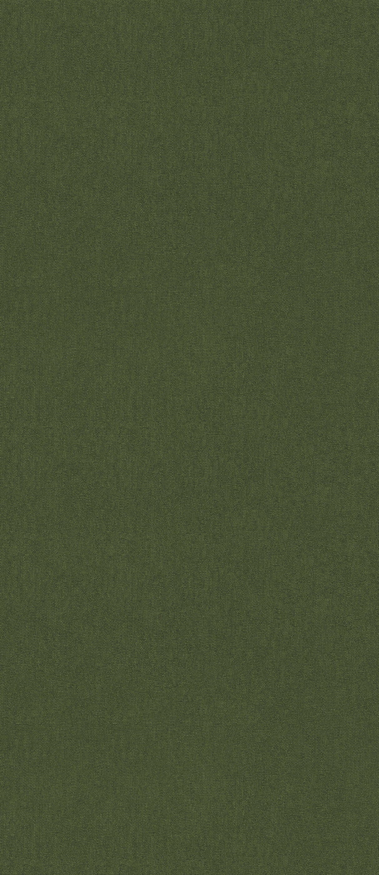 G P & J Baker CUBBY FOREST Wallpaper