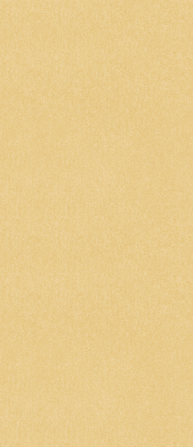 G P & J Baker CUBBY SUNSHINE Wallpaper