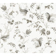 Kravet DESIGN W4415 8 Wallpaper