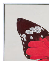 Bassett Red Butterfly Framed Canvas Set of 2