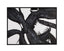 Bassett Black Shadows Fall Framed Canvas