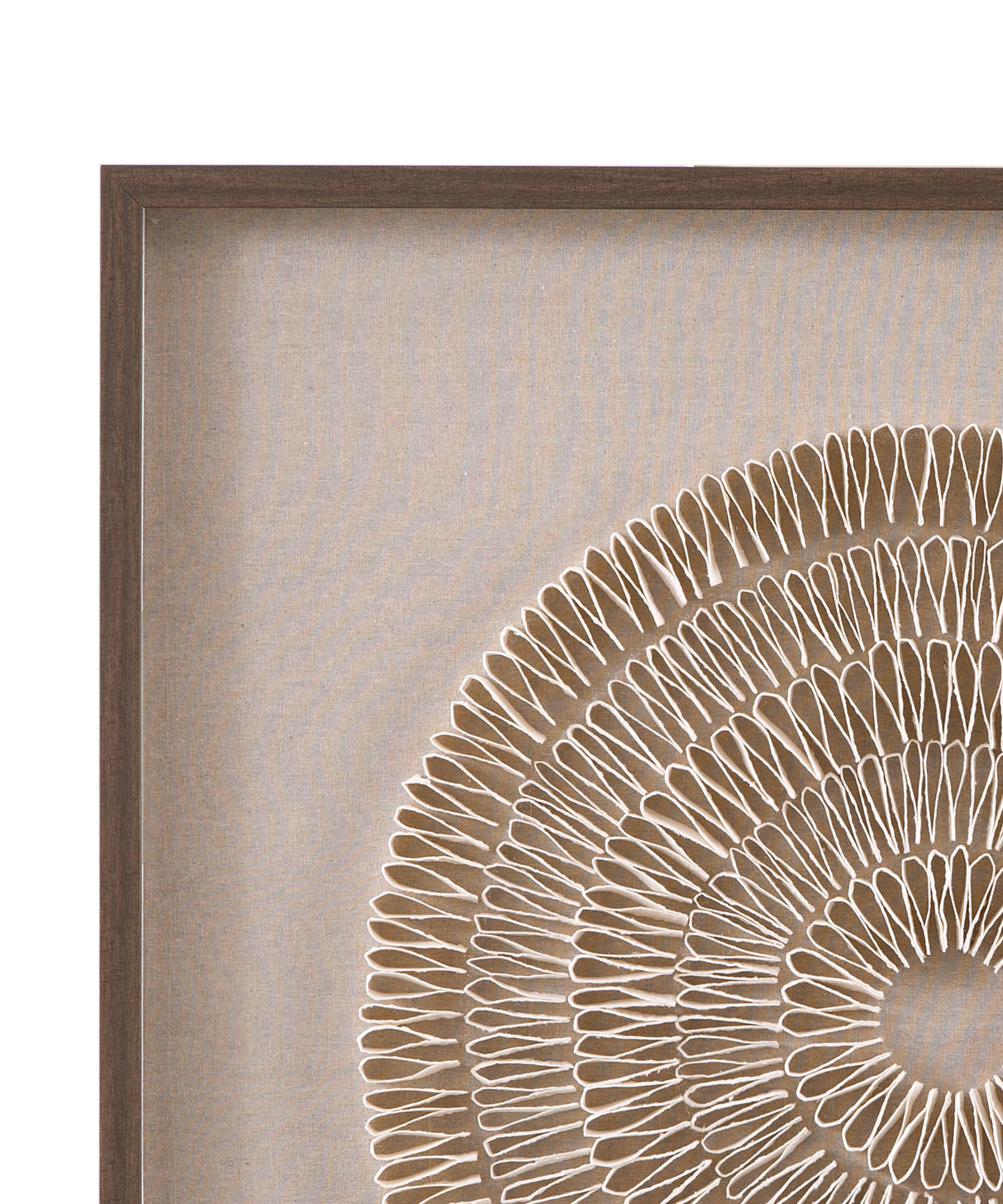Bassett Brown Vesica Wall Art