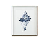 Bassett Blue Quiet Conch In Indigo III Framed Print