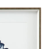 Bassett Blue Quiet Conch In Indigo III Framed Print