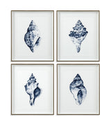 Bassett Blue Quiet Conch In Indigo III Framed Print