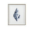 Bassett Blue Quiet Conch In Indigo II Framed Print