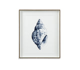 Bassett Blue Quiet Conch In Indigo II Framed Print