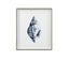Bassett Blue Quiet Conch In Indigo II Framed Print