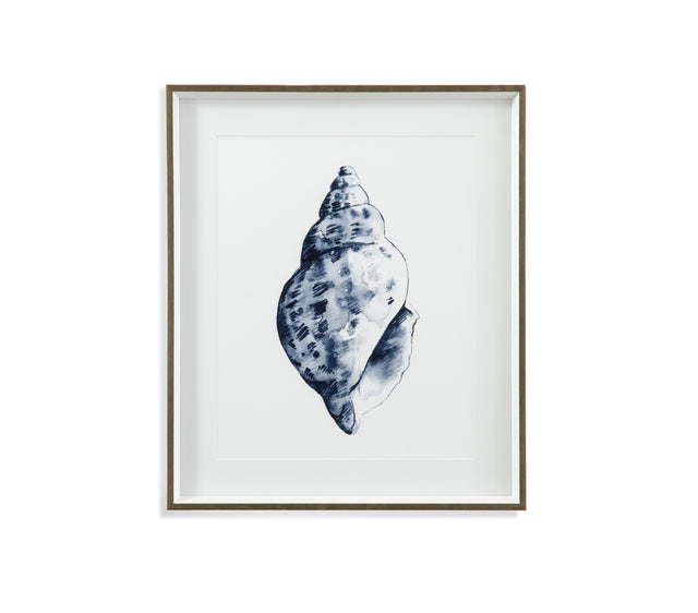 Bassett Blue Quiet Conch In Indigo II Framed Print