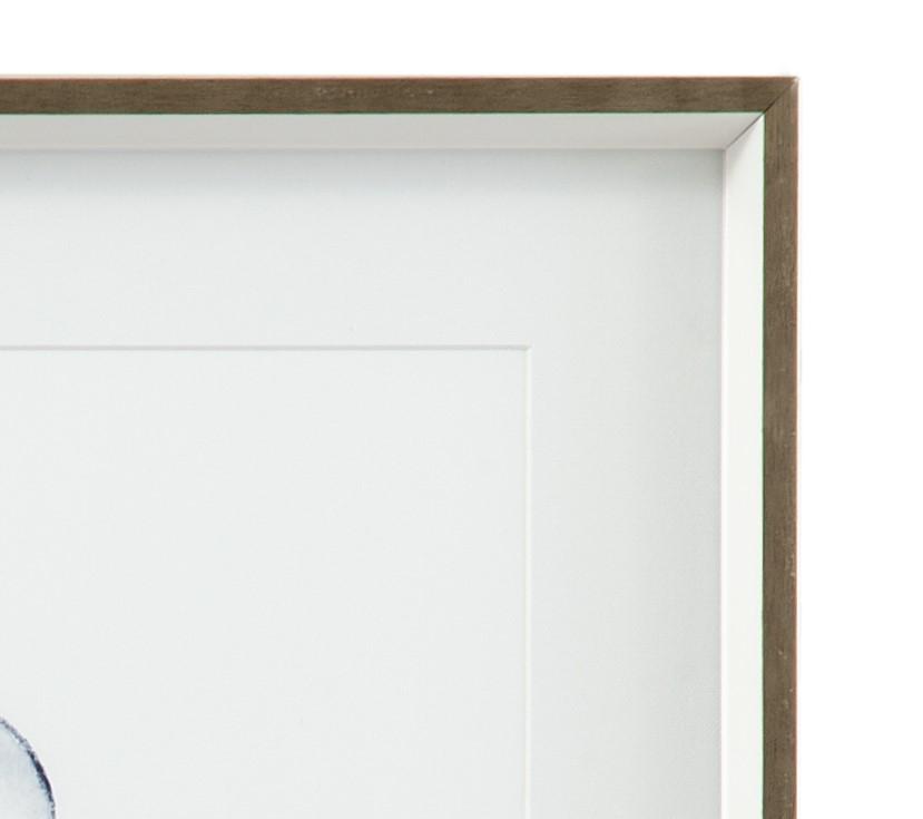 Bassett Blue Quiet Conch In Indigo II Framed Print