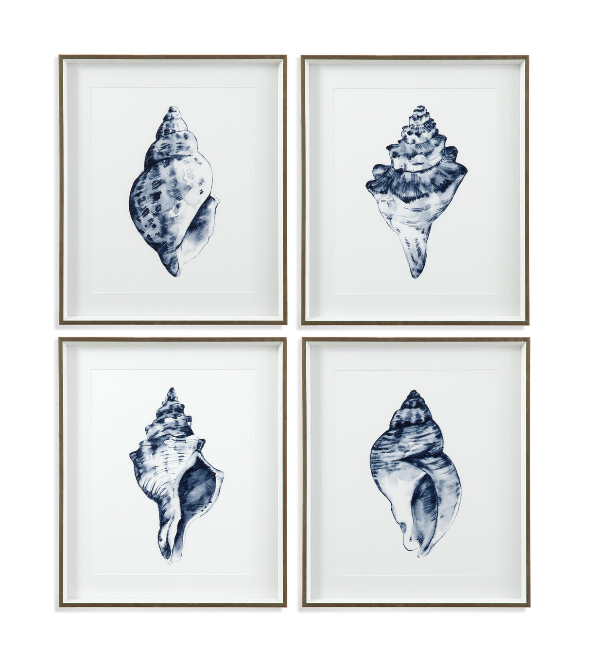 Bassett Blue Quiet Conch In Indigo II Framed Print