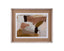 Bassett Brown Almondine II Framed Print