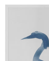 Bassett Blue Heron in Blue II Framed Print