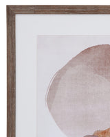 Bassett Brown Side Step II Framed Print