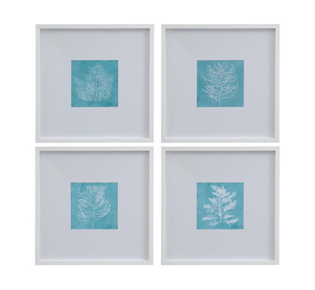 Bassett White White Coral on Blue Framed Print Set of 4