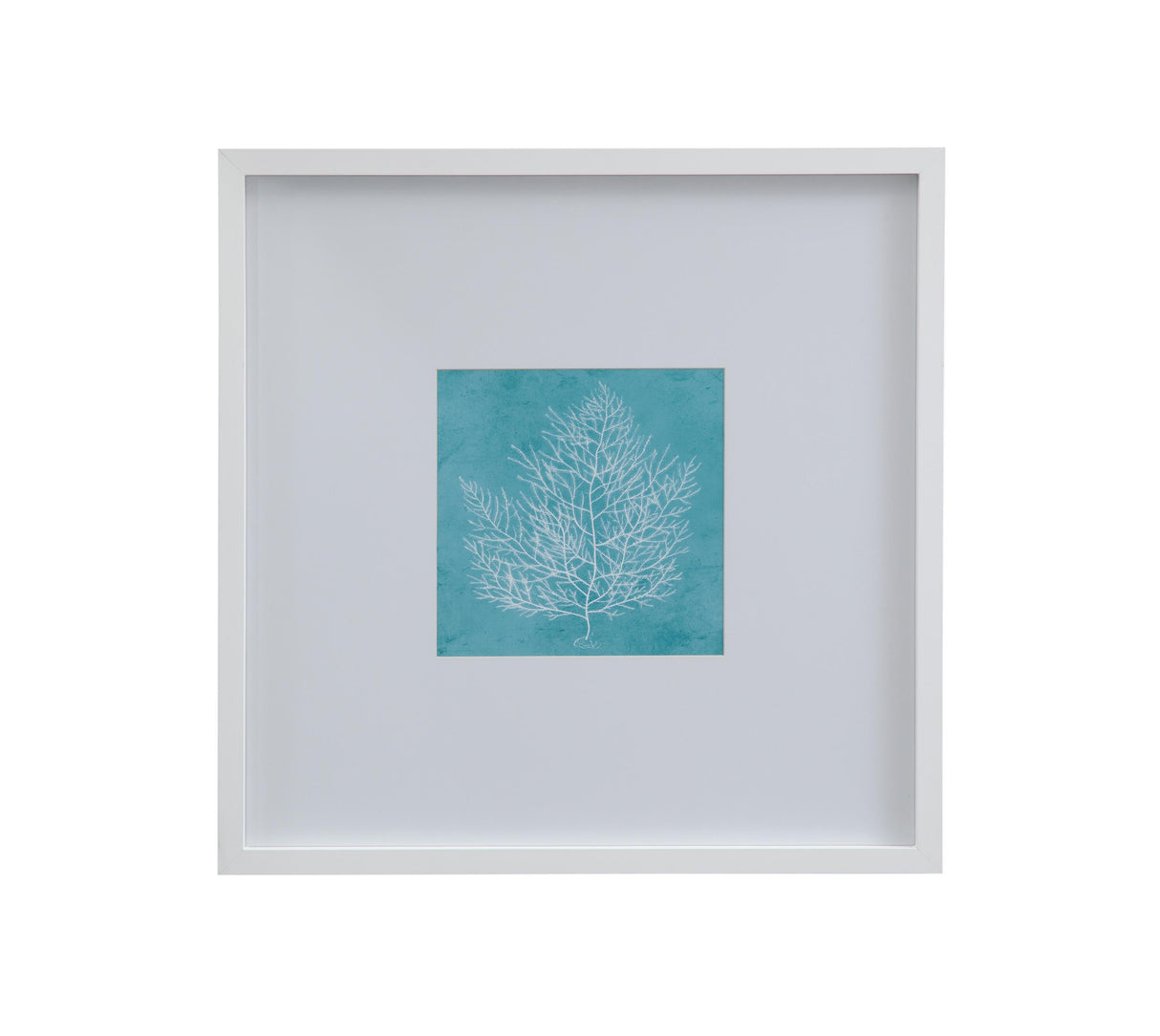 Bassett White White Coral on Blue I Framed Print