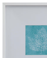 Bassett White White Coral on Blue I Framed Print
