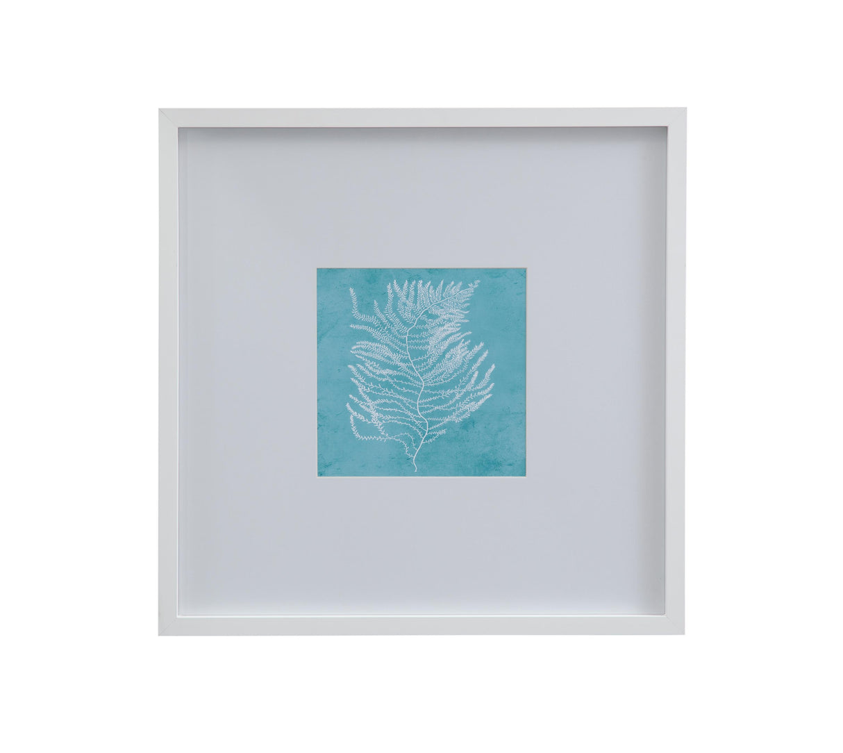 Bassett White White Coral on Blue III Framed Print