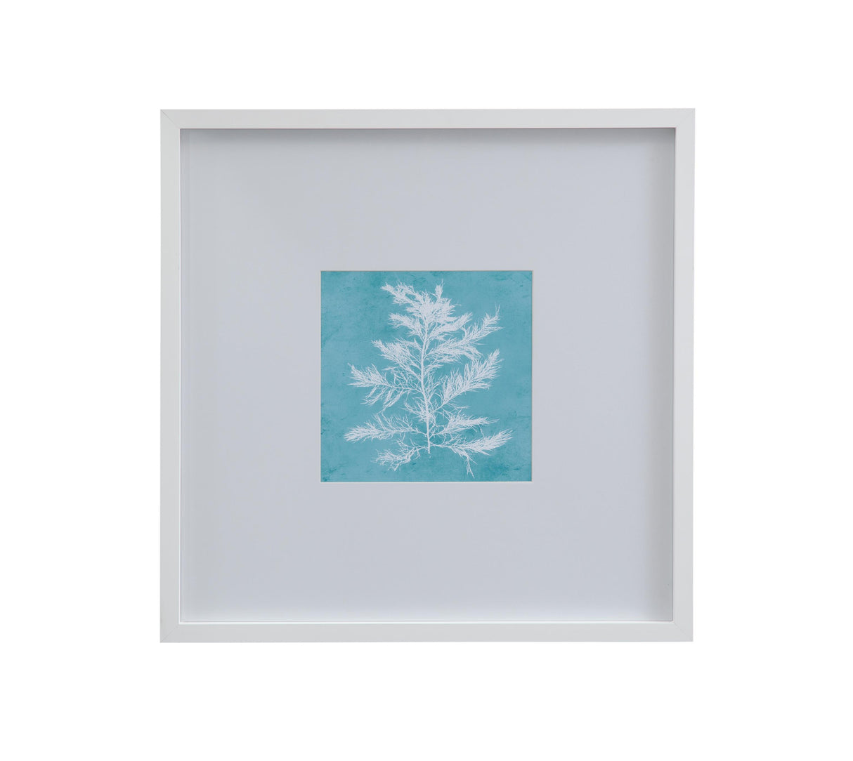 Bassett White White Coral on Blue IV Framed Print