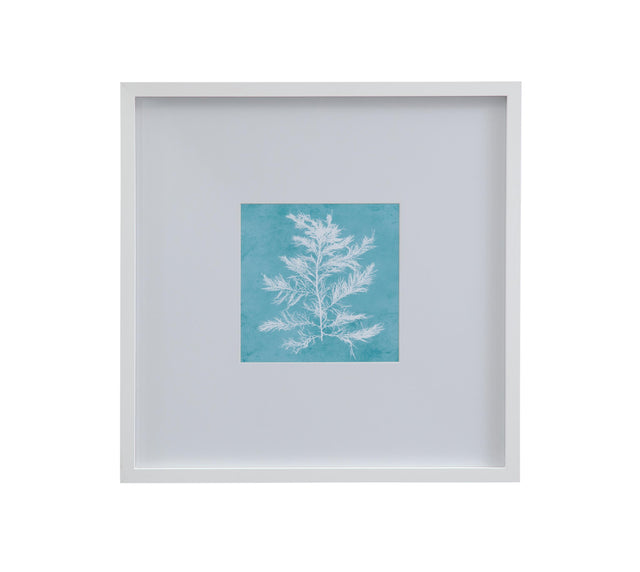 Bassett White White Coral on Blue IV Framed Print