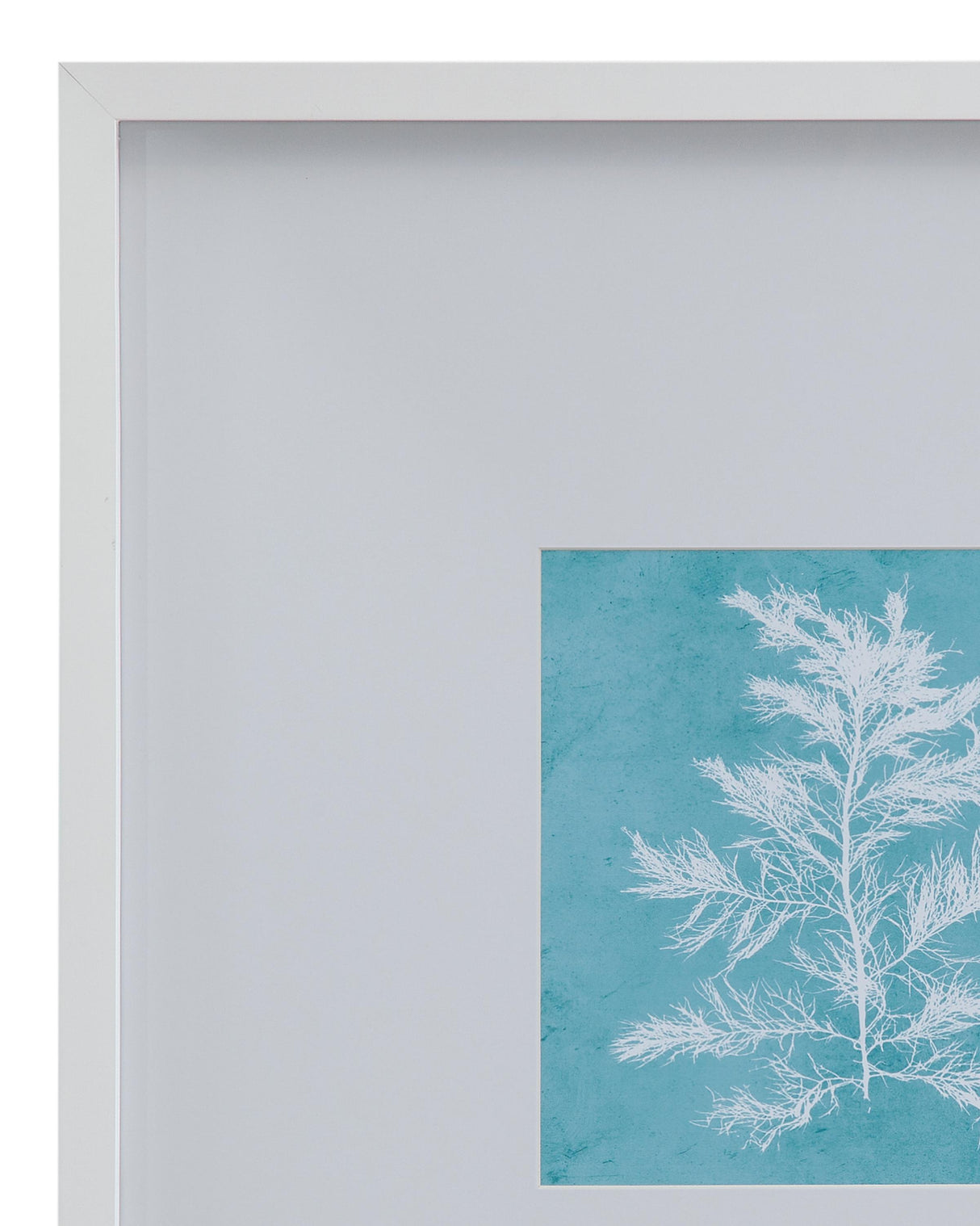 Bassett White White Coral on Blue IV Framed Print