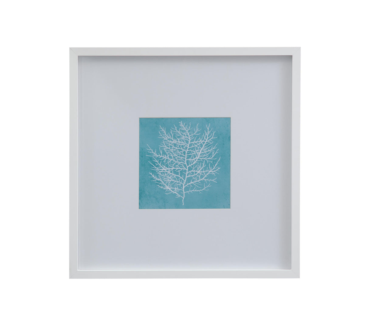Bassett White White Coral on Blue II Framed Print