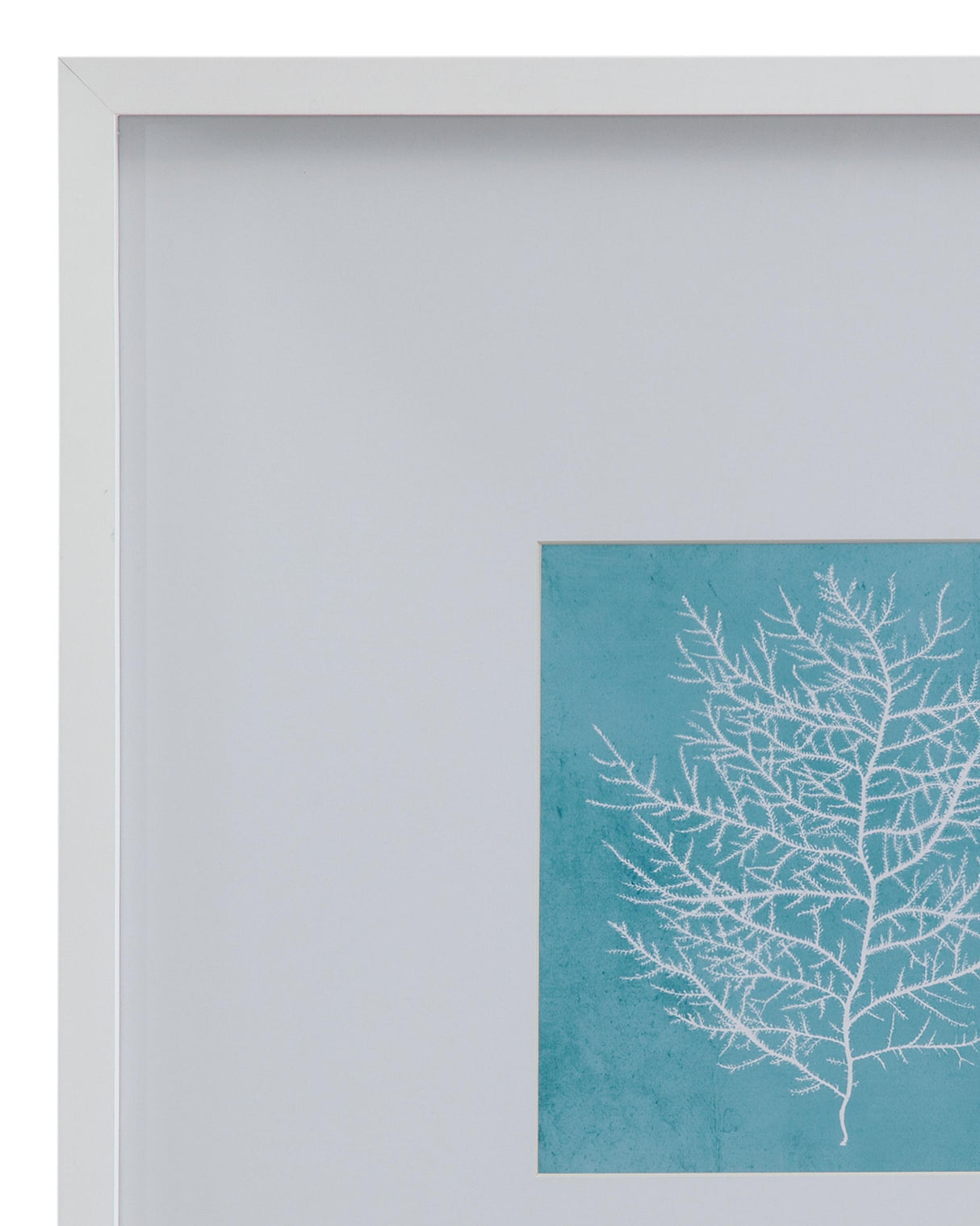 Bassett White White Coral on Blue II Framed Print