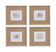 Bassett White Neutral Shell Fresco Framed Print Set of 4