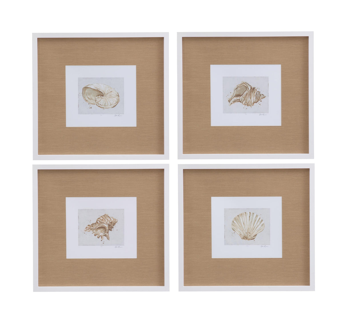 Bassett White Neutral Shell Fresco Framed Print Set of 4
