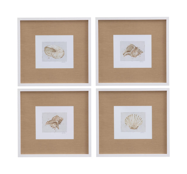 Bassett White Neutral Shell Fresco Framed Print Set of 4