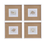 Bassett White Neutral Shell Fresco I Framed Print