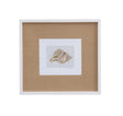 Bassett White Neutral Shell Fresco II Framed Print
